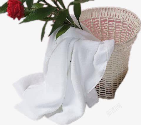 花篮网最新爆料网站下载,网站下载背后的秘密与最新动态